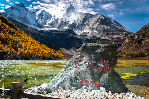 view of autumn highland snow mountain of Yading Nature Reserve, snow-capped mountains, crystal clear lakes, vast grasslands, colorful forests, Shangri-La Town, Daocheng, Sichuan, China
