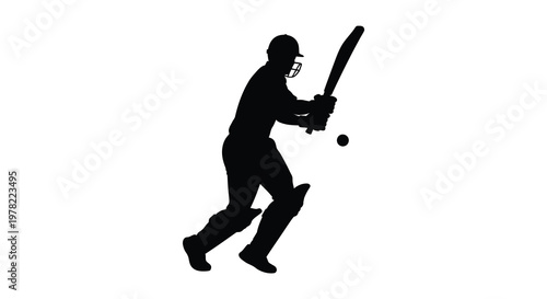 A cricket player prepares to hit a ball in dynamic action silhouette