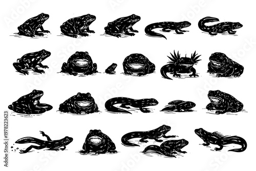 Collection of amphibian silhouettes featuring frogs and salamanders in various poses.