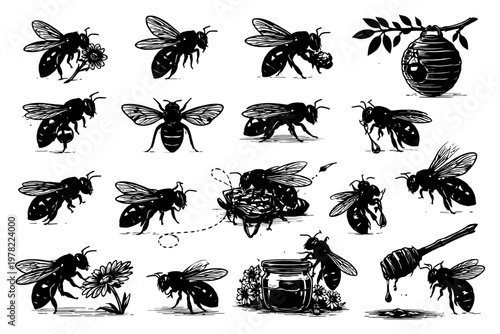 Collection of bees, hive, and honey elements in black and white.