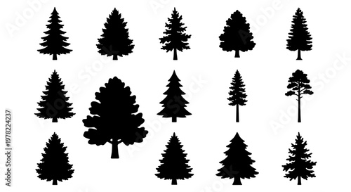 Pine tree silhouette collection, 14 evergreen conifer vector icons, black forest fir and spruce shapes, minimalist nature design elements