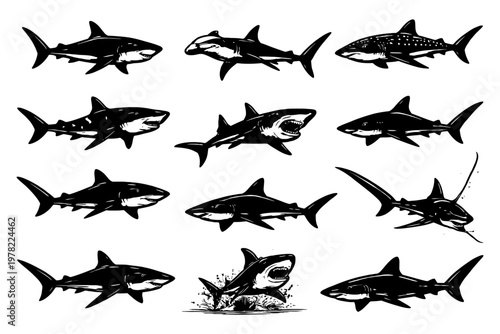 Diverse shark silhouettes: great white, hammerhead, whale, tiger, mako, and more.