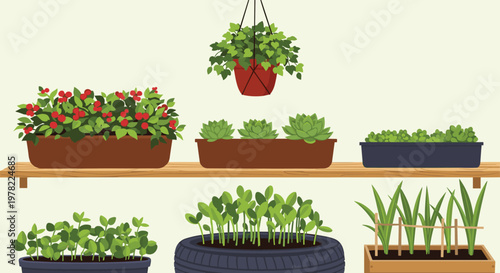 Various green plants in pots and a tire planter on a wooden shelf illustrate urban gardening, recycling, and home decoration with greenery.