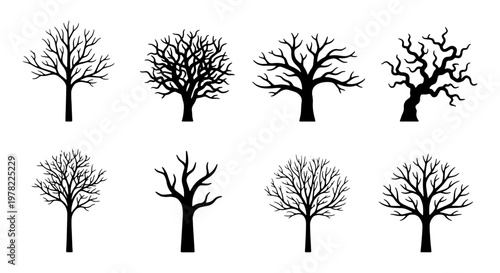 Black tree silhouettes with bare branches, set of 8 winter tree vector icons, leafless oak and maple shapes for landscape design and spooky decor