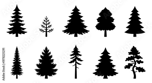 Pine tree silhouette collection, 10 evergreen conifer vector icons, black forest fir and spruce tree shapes for winter landscape design