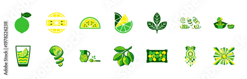 Lime and Citrus Fruit Vector Asset Sheet