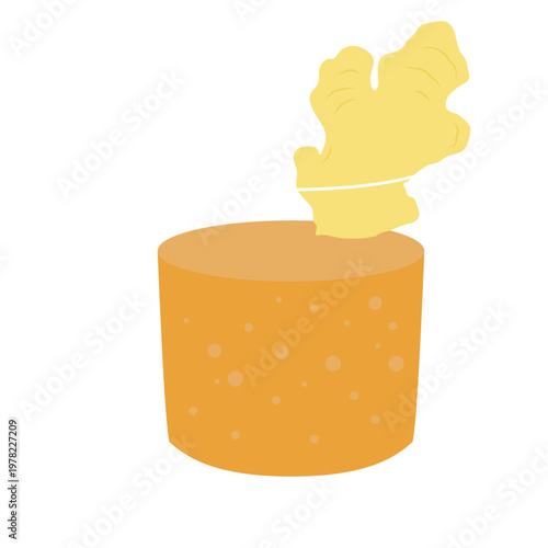 Ginger Root and Spice Powder Illustration