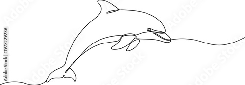 vector illustration of a dolphins with line art style
