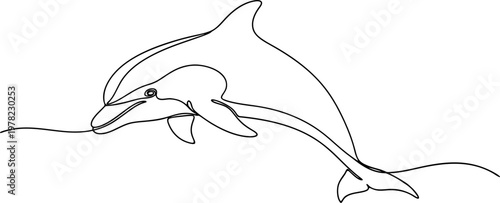 dolphin with line art style