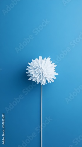Single White Flower on Blue Background for Minimalist Design