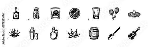 Agave Spirit and Mexican Culture Graphic Elements