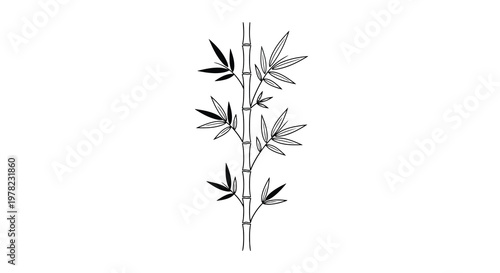 Simple black and white illustration of a bamboo plant with leaves