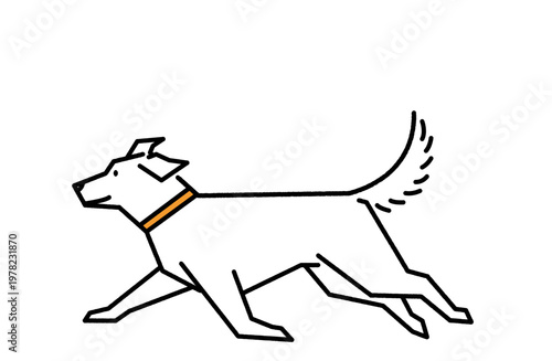 自由を満喫して走る犬