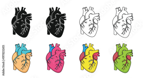 Anatomical hearts in various styles and color schemes shown in a grid