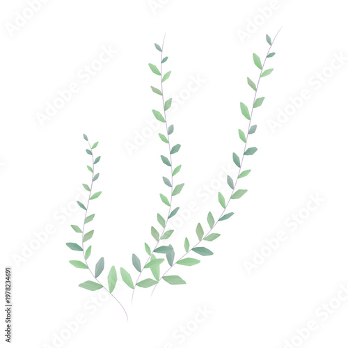 Obraz na plátně Minimalist illustration of three slender green plant stems with alternating leav