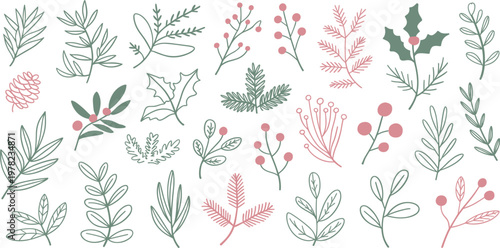 Winter botanical illustration set with pine branches berries and evergreen leaves isolated on white background vector
