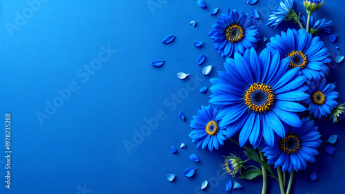 Blue daisy flowers arranged on solid blue background with copy space