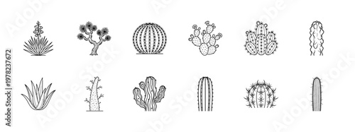Monoline Cactus and Succulent Design Kit