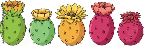 Colorful cactus collection vector illustration set featuring blooming prickly pear plants with vibrant flowers isolated on white background