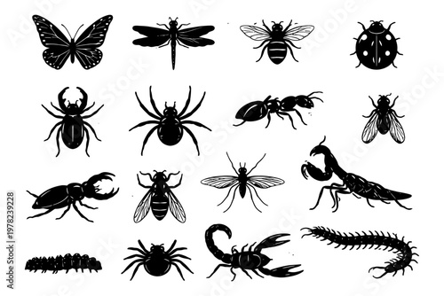 Silhouettes of insects including butterfly, dragonfly, bee, beetle, and spider.