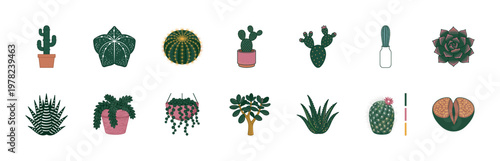 Cactus and Succulent Garden Asset Sheet