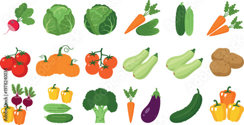 Colorful vegetables icons vector set including tomato pumpkin cabbage carrot cucumber eggplant broccoli potato and pepper isolated on white