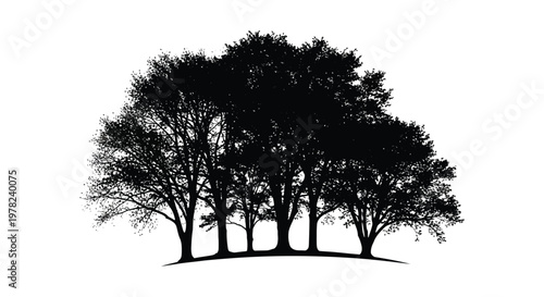 A group of trees against a white background striking silhouette