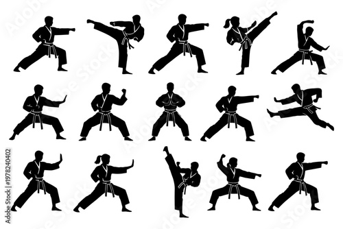 Silhouette karate poses of male and female athletes in various martial arts stances.