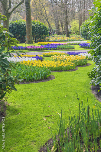 Colorful Tulip Fields in Bloom at Keukenhof Gardens, Amsterdam, Netherlands – Vibrant Spring Floral Landscape