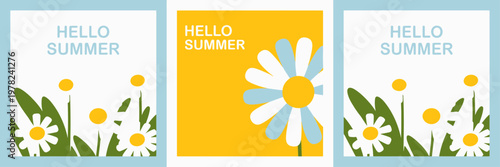 Bright Summer Greeting Cards Featuring Colorful Daisies and Flowers Design