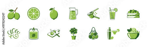 Fresh Lime Citrus Food and Drink Asset Sheet