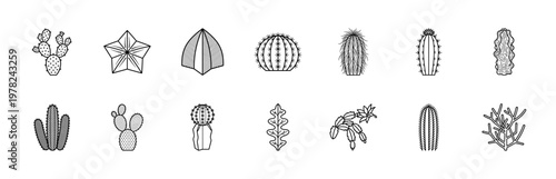 Minimalist Cactus Botanical Line Art