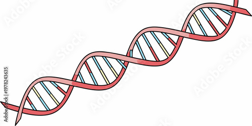 Detailed DNA strand double helix scientific concept graphic with genetics molecule research biotechnology scientific laboratory biochemistry molecular structure evolution
