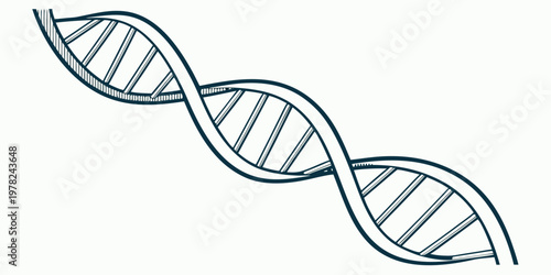 Dna double helix line art structure with genetics molecule research biotechnology scientific laboratory biochemistry molecular structure evolution discovery healthcare