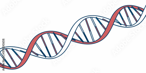 Scientific DNA double helix molecular model illustration with genetics molecule research biotechnology scientific laboratory biochemistry molecular structure evolution