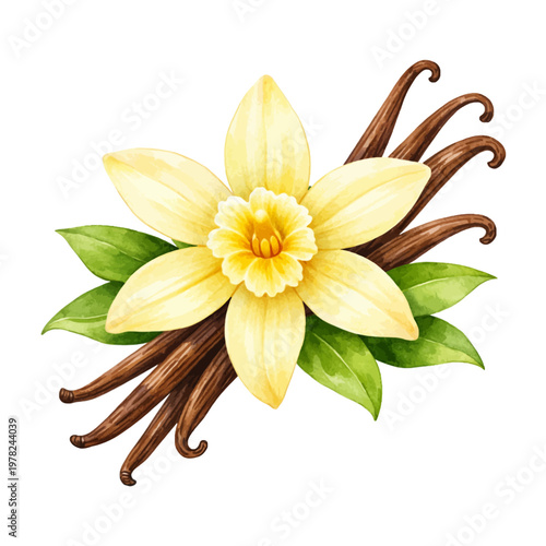 A watercolor collection of vanilla flower featuring cream yellow vanilla blossom, brown vanilla bean pods, and green leaves isolated on white background.