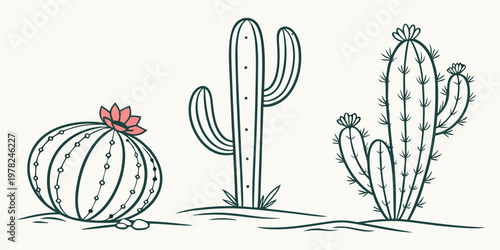 Collection of hand drawn desert cacti set with blooming flowers on white background succulent botanical illustration collection minimalist isolated exterior landscape
