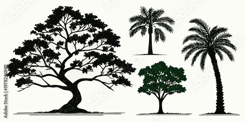 Set of isolated tree silhouettes including palm trees and deciduous trees with silhouette collection isolated botanical tropical branches landscape minimalist elements backdrop