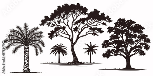 Group of tropical trees and palms silhouette collection with silhouette tropical botanical collection isolated landscape branches minimalist elements decoration illustration
