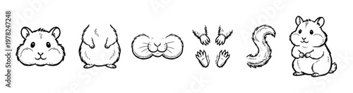 Hand-drawn hamster character constructor set with different body parts like the head, paws, tail, and muzzle for creating a cute rodent mascot in a black line art style