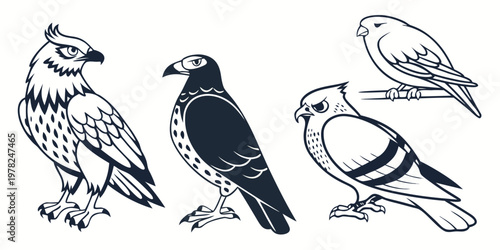 Collection of hawk and raptor birds of prey in silhouette and line art style for wildlife design with wildlife predator illustration silhouette predatory