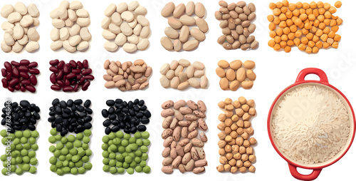 Assorted beans legumes and rice vector illustration set featuring colorful pulses grains collection and bowl of white rice isolated on background