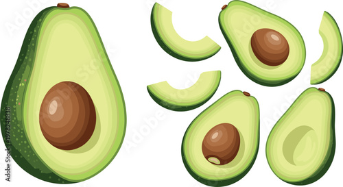 Avocado illustration set with whole fruit, halves and slices isolated on white background, fresh organic healthy food vector collection