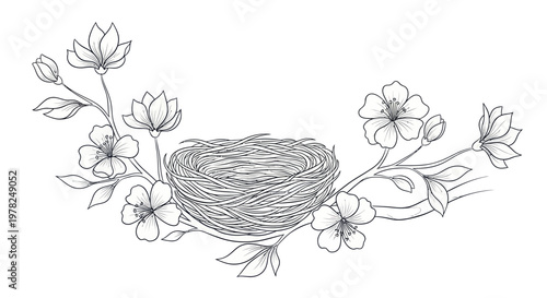 Bird Nest with Spring Blossom Branches, Delicate Line Art Illustration