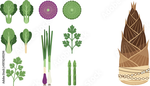 Bamboo shoot and green vegetables collection vector illustration including leafy greens asparagus scallion herbs and sliced vegetable icons isolated