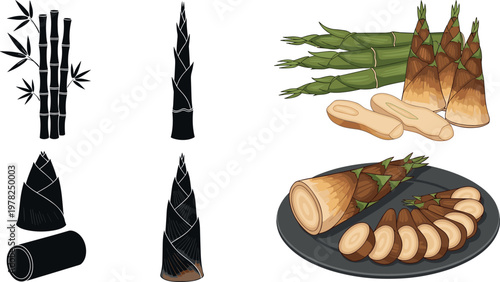Bamboo shoots and sliced takenoko with bamboo tree silhouettes traditional Japanese food ingredient vector illustration isolated on white background