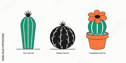 Set of three stylized cactus plants including tall round and flowering varieties with succulent botanical greenery illustration flowering collection minimalist isolated blooming