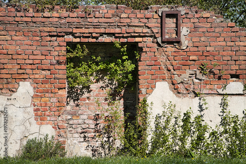 old brick wall with a door