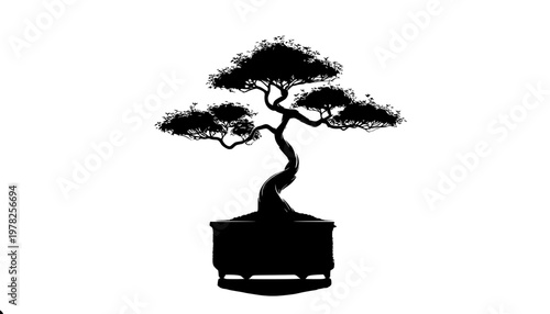 bonsai tree silhouette