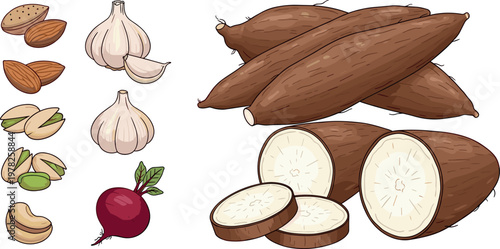 Cassava root and nuts vector illustration set featuring manioc tuber slices with almonds pistachios garlic and beet isolated on white background